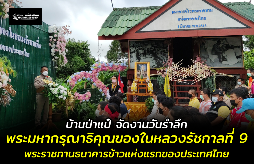 บ้านป่าแป๋ จัดงานวันรำลึกพระมหากรุณาธิคุณของในหลวงรัชกาลที่ 9 ที่พระราชทานธนาคารข้าวแห่งแรกของประเทศไทย