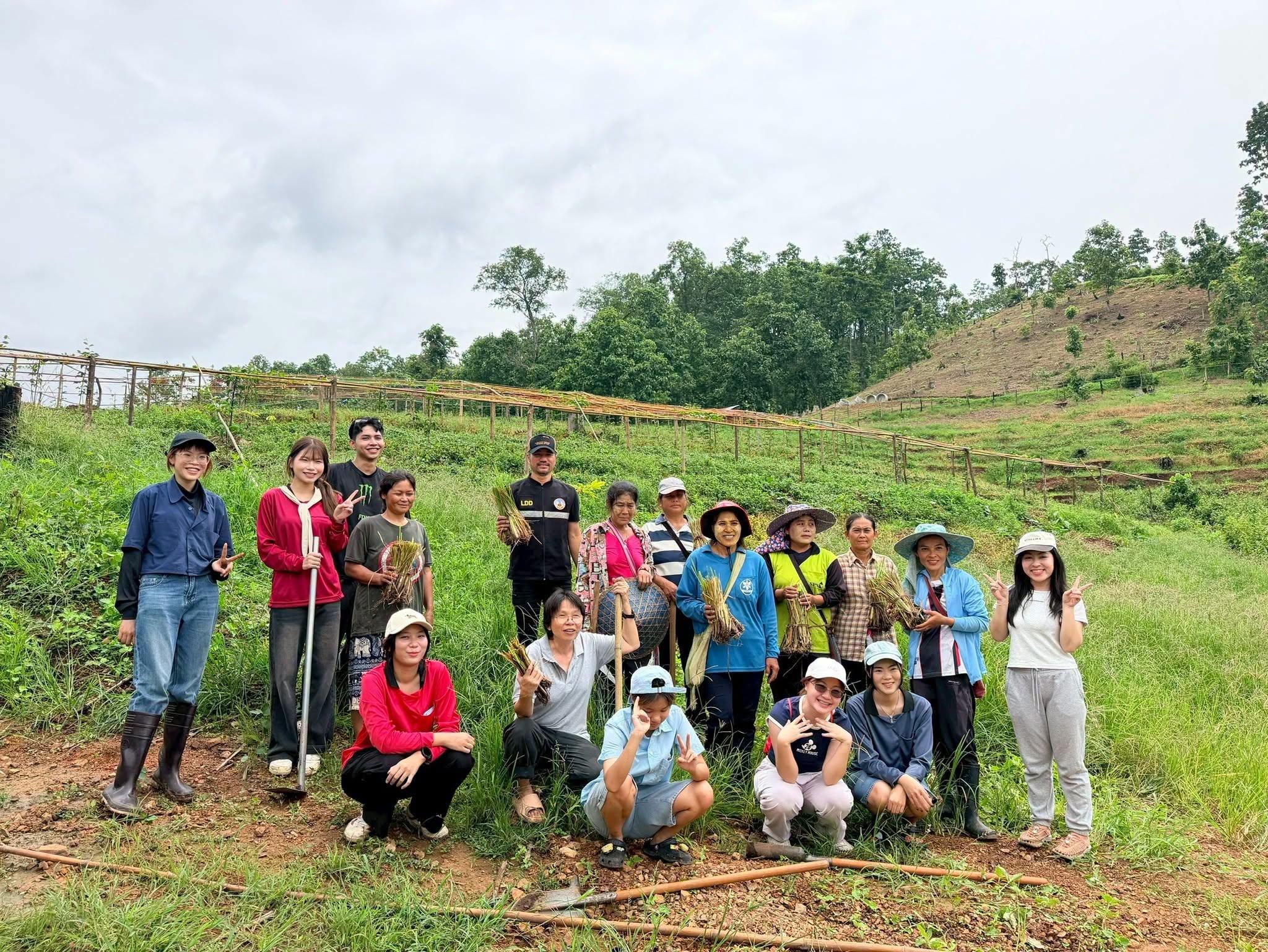 ชาวบ้านแม่สะลาบ ร่วมใจ มช. &ndash; พัฒนาที่ดินที่ 6 ปลูกหญ้าแฝกยึดหน้าดินนาขั้นบันได 